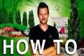 How to Landscape Design LIKE A BOSS!